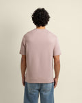 Pale Rose